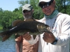 Smallmouth Bass