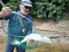 Tim Grass Carp June 20