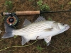 Lake Monroe Fishing