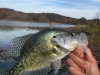Lake Monroe Fishing