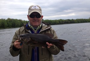 PaulB Big Smallie