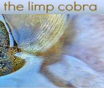 The Limp Cobra