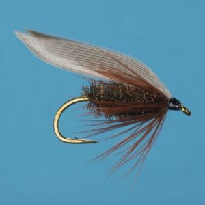 Leadwing Coachman